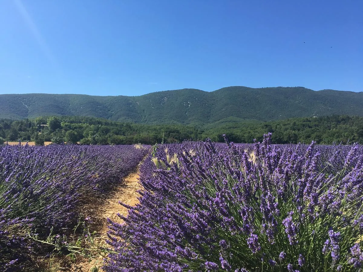 Domaine De La Bastidonne Villa Cereste