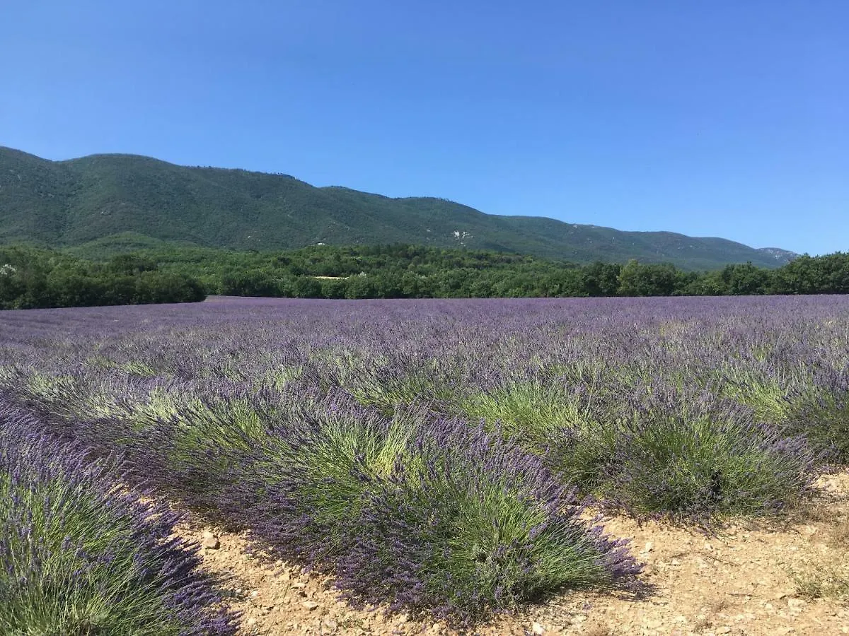 Domaine De La Bastidonne Villa Cereste France
